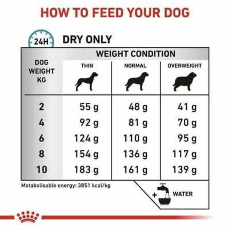 Royal Canin Anallergenic Small Dog Canine Лікувальний корм для собак малих порід