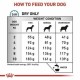 Royal Canin Anallergenic Small Dog Canine Лікувальний корм для собак малих порід
