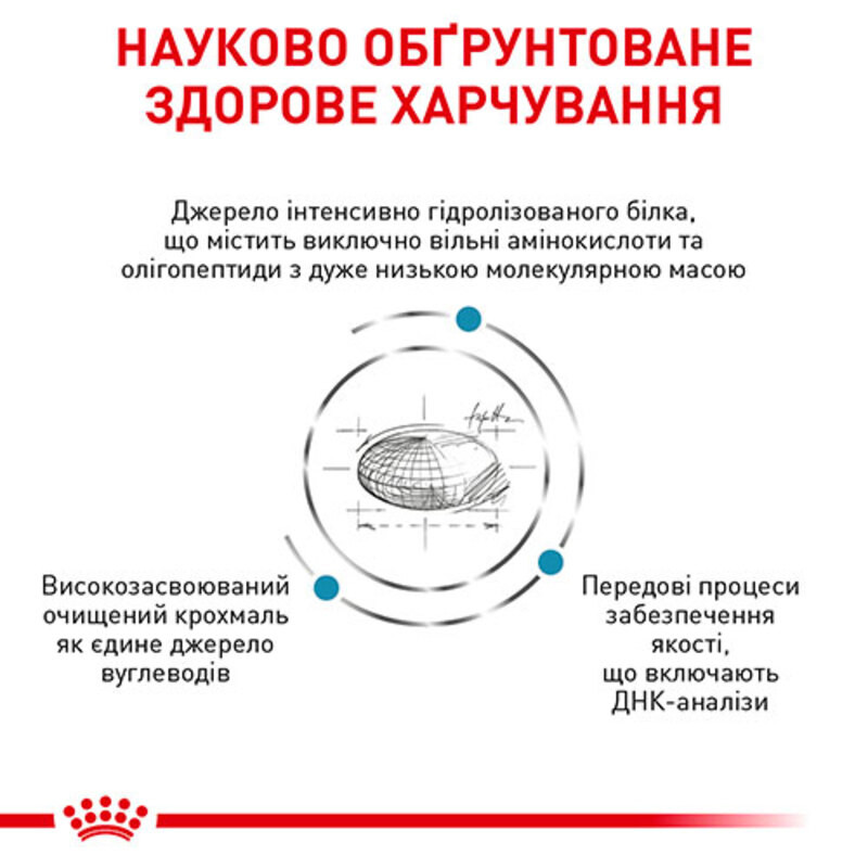 Royal Canin Anallergenic Small Dog Canine Лікувальний корм для собак малих порід
