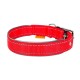 Collar Dog Extremе Нашийник для собак нейлоновий подвійний зі світловідбиваючою вставкою червоний
