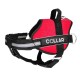 Collar Dog Extremе Шлей для собак POLICE червона