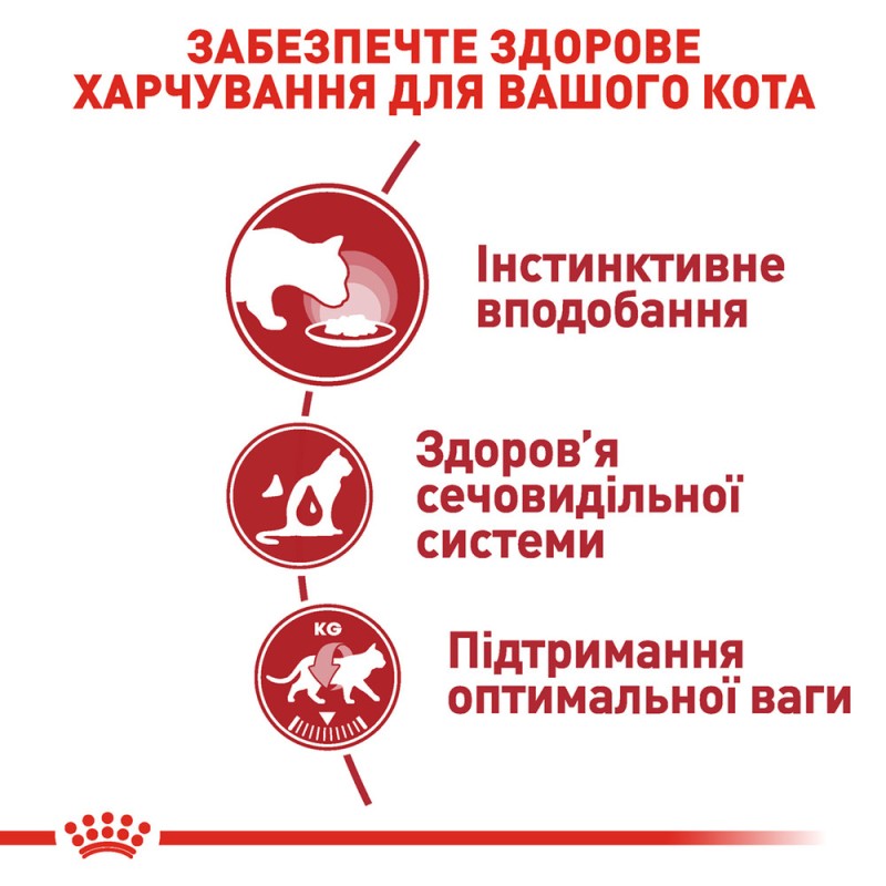 Royal Canin Instinctive in Jelly Консерви для дорослих кішок