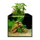 Collar AquaLighter aFARM AQUAPONIC SET Акваріумний набір з фермою для вирощування рослин