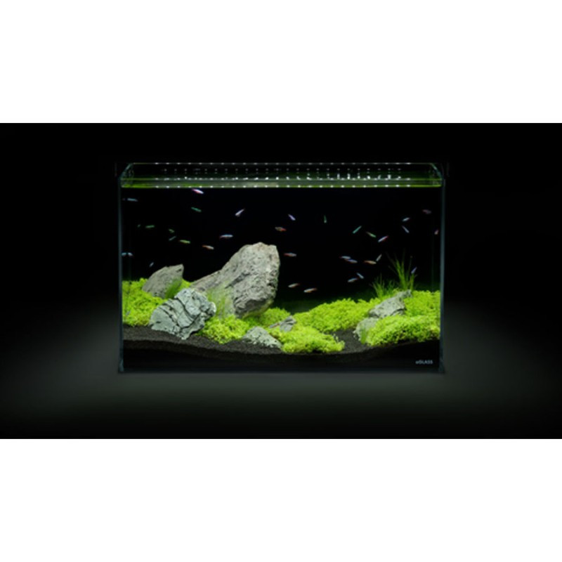 Collar AquaLighter Aqua Set Прісноводний акваріумний набір