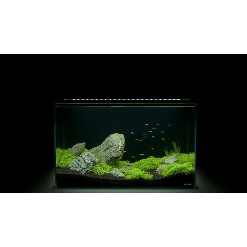 Collar AquaLighter Aqua Set Прісноводний акваріумний набір