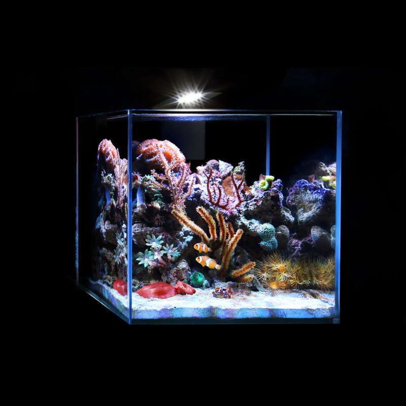 Collar AquaLighter Nano Marine Set Морський акваріумний набір
