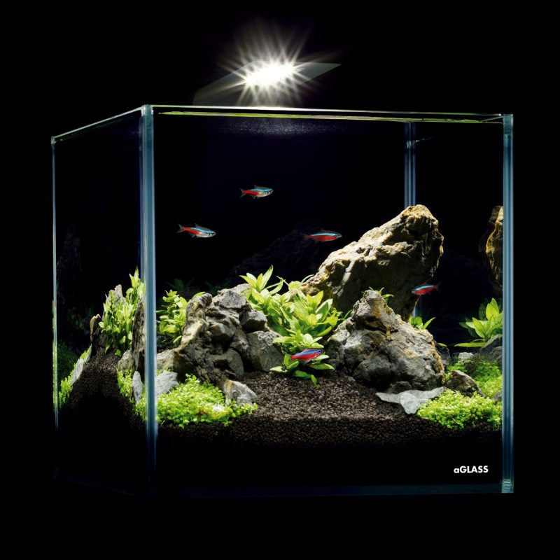 Collar AquaLighter Nano Set Акваріумний набір