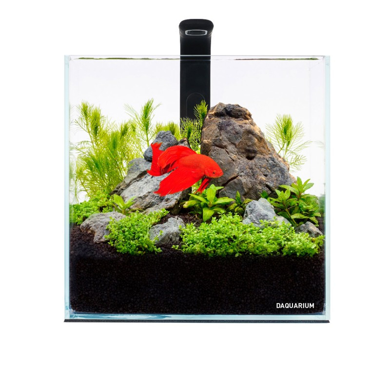 Collar AquaLighter Pico Set Акваріумний набір