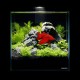 Collar AquaLighter Pico Set Акваріумний набір