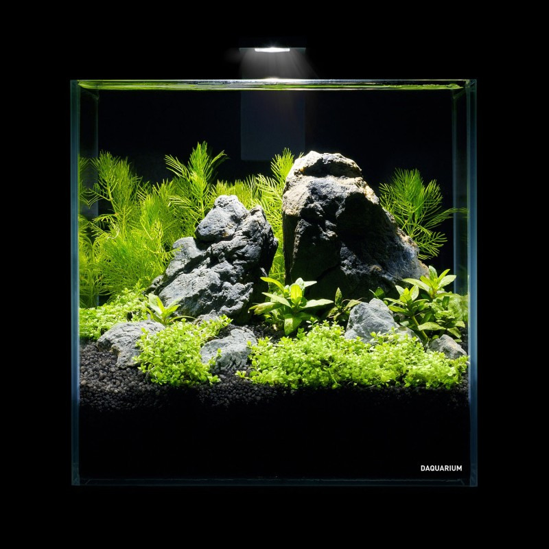 Collar AquaLighter Pico Set Акваріумний набір