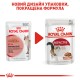 Royal Canin Instinctive in Gravy Консерви для дорослих кішок