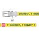 Collar Waudog Design Нашийник для собак шкіряний c QR паспортом Сміливість білий