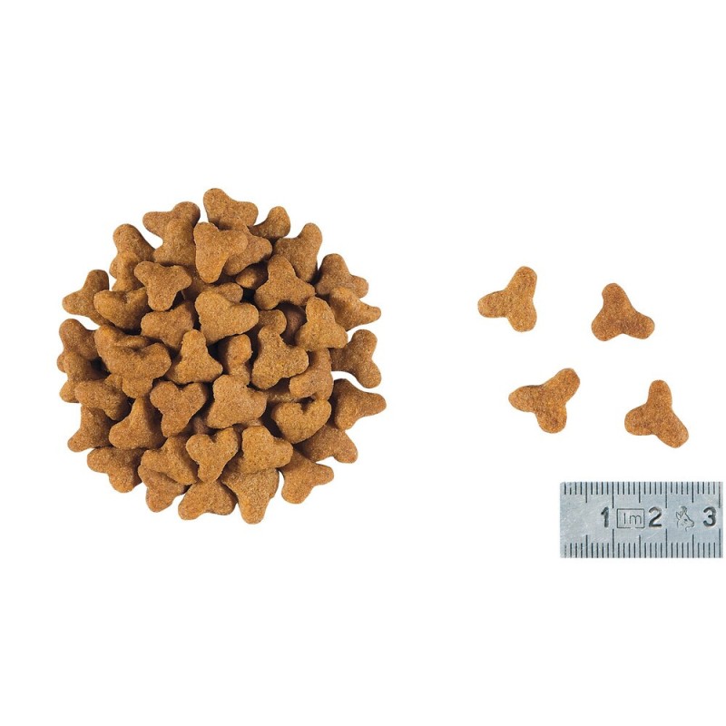 Royal Canin Gastro Intestinal Fibre Response Feline Лікувальний корм для дорослих кішок