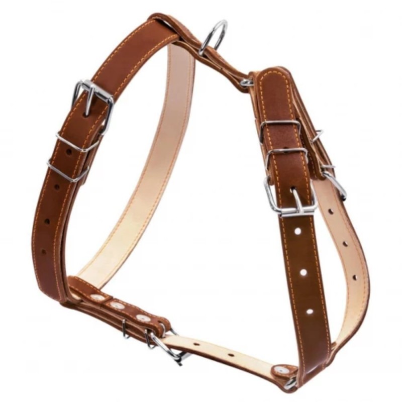 Collar Шлей подвійний шкіряний для середніх собак