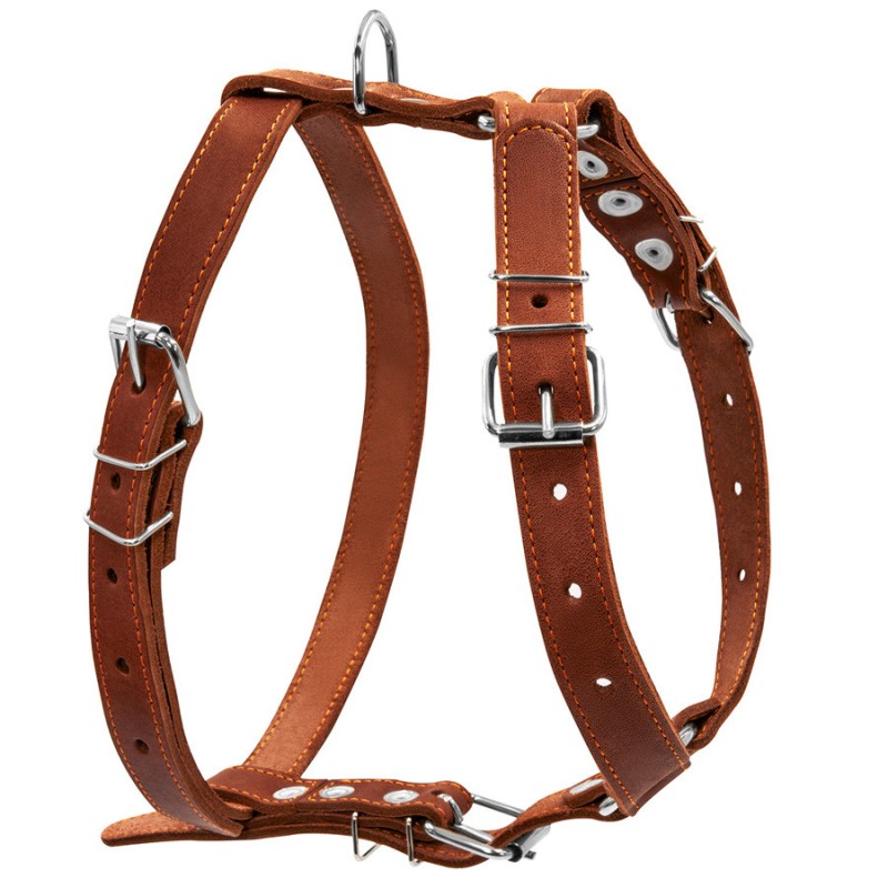 Collar Шлей одинарний шкіряний для собак