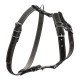 Collar Шлей одинарний шкіряний для дрібних і середніх собак