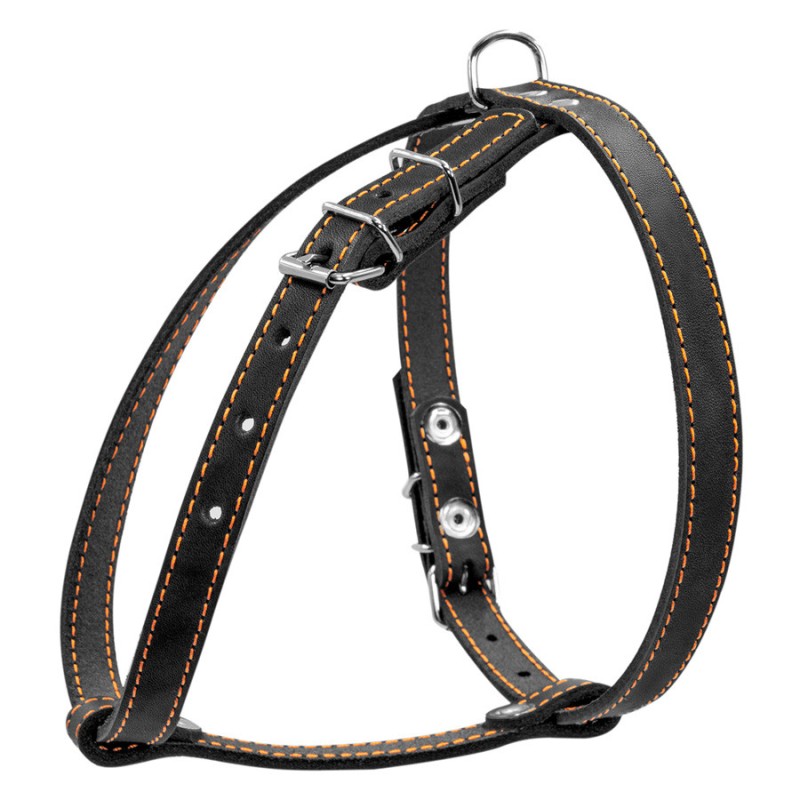 Collar Шлей одинарний шкіряний для дрібних собак