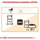 Royal Canin Intense Beauty in Gravy Консерви для дорослих кішок