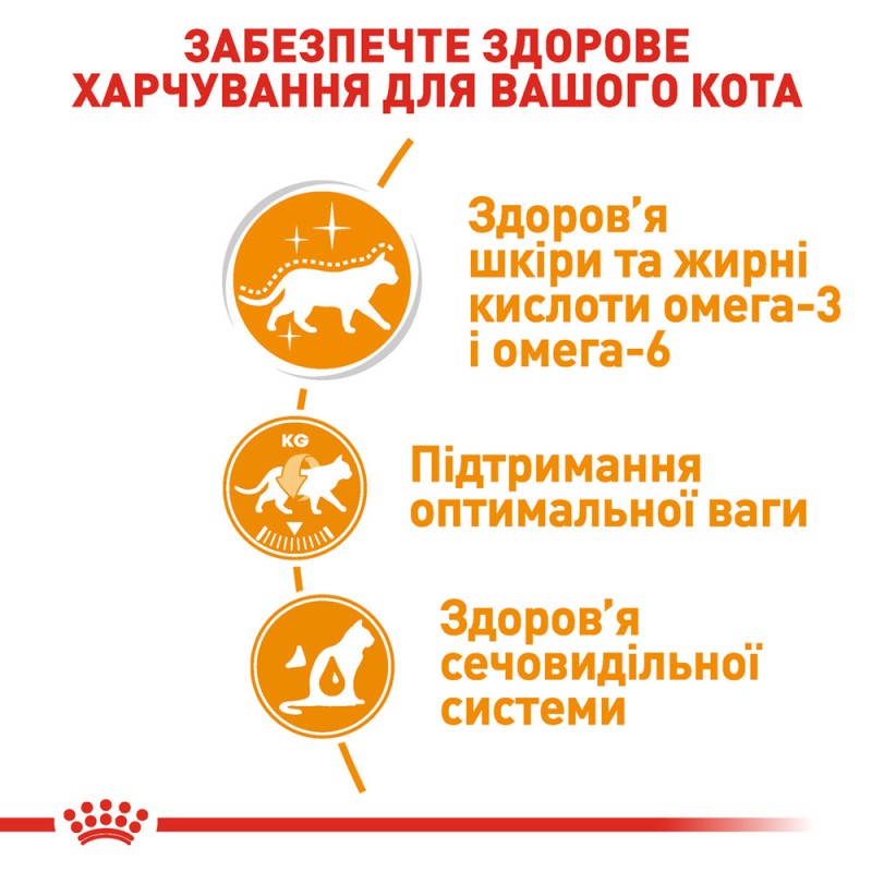 Royal Canin Intense Beauty in Gravy Консерви для дорослих кішок