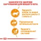 Royal Canin Intense Beauty in Gravy Консерви для дорослих кішок