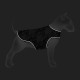 Collar Waudog Clothes Куртка-накидка для собак Рік та Морті 1