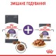 Royal Canin Appetite Control Care Сухий корм для дорослих котів