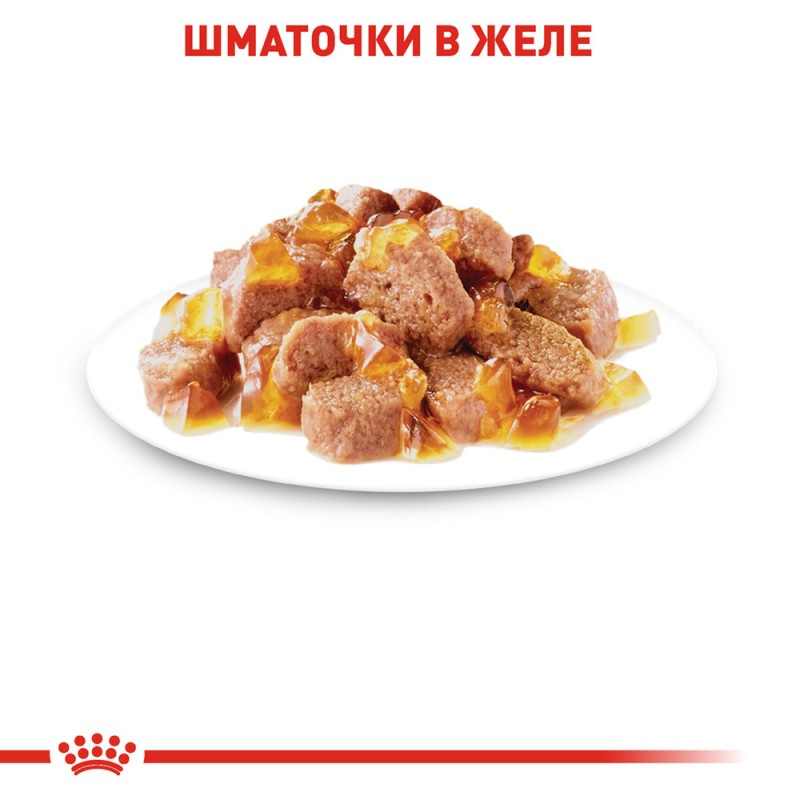 Royal Canin Intense Beauty in Jelly Консерви для дорослих кішок