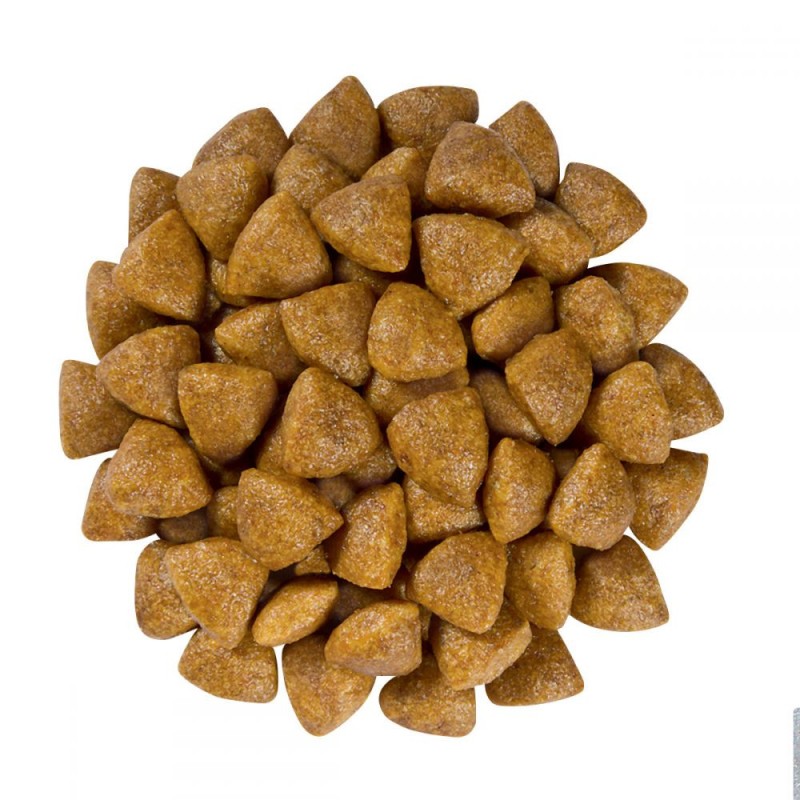 Royal Canin Renal Feline Special Лікувальний корм для дорослих кішок