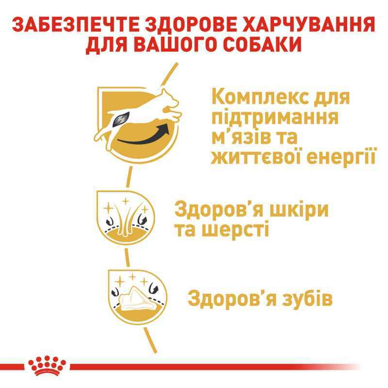 Royal Canin Jack Russel Adult Сухий корм для собак