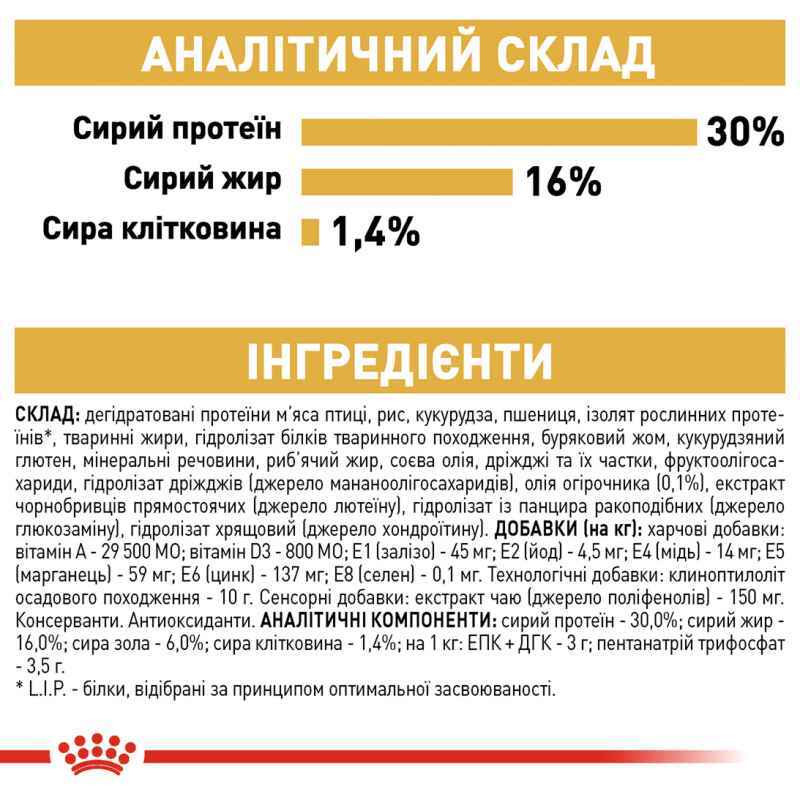 Royal Canin Jack Russel Adult Сухий корм для собак