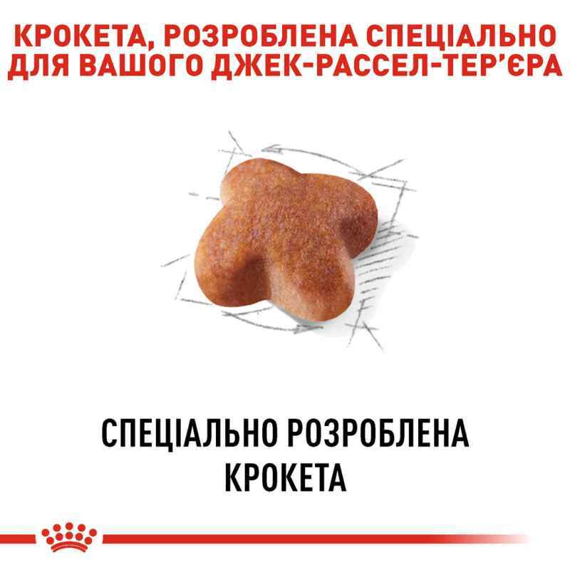 Royal Canin Jack Russel Adult Сухий корм для собак