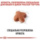 Royal Canin Jack Russel Adult Сухий корм для собак