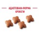 Royal Canin Jack Russel Puppy Сухий корм для цуценят