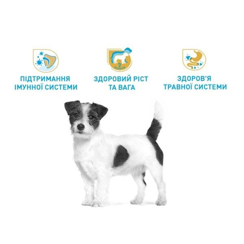 Royal Canin Jack Russel Puppy Сухий корм для цуценят