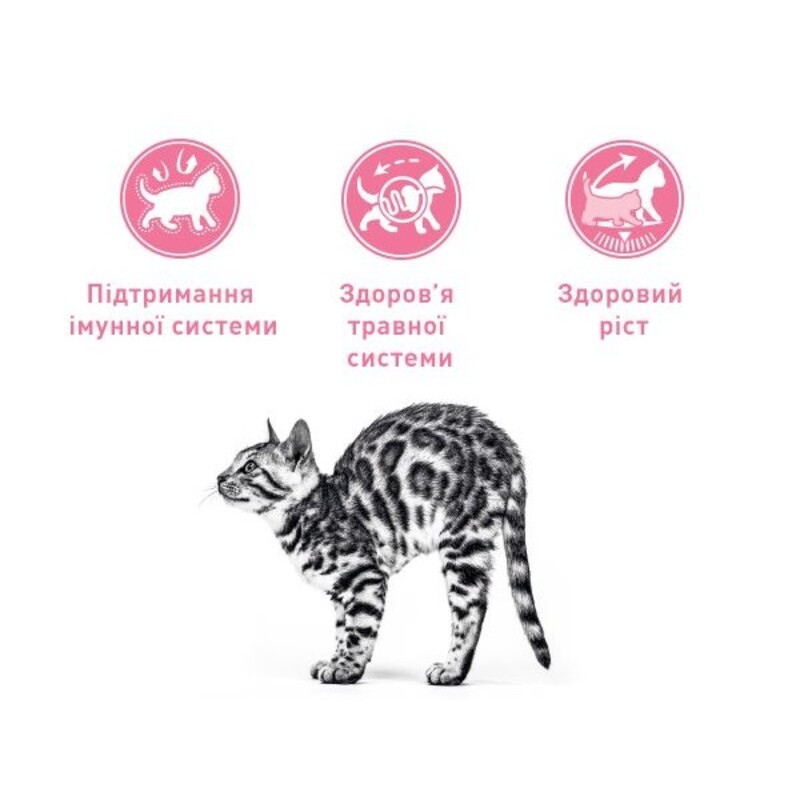 Royal Canin Kitten Сухий корм для кошенят