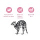 Royal Canin Kitten Сухий корм для кошенят