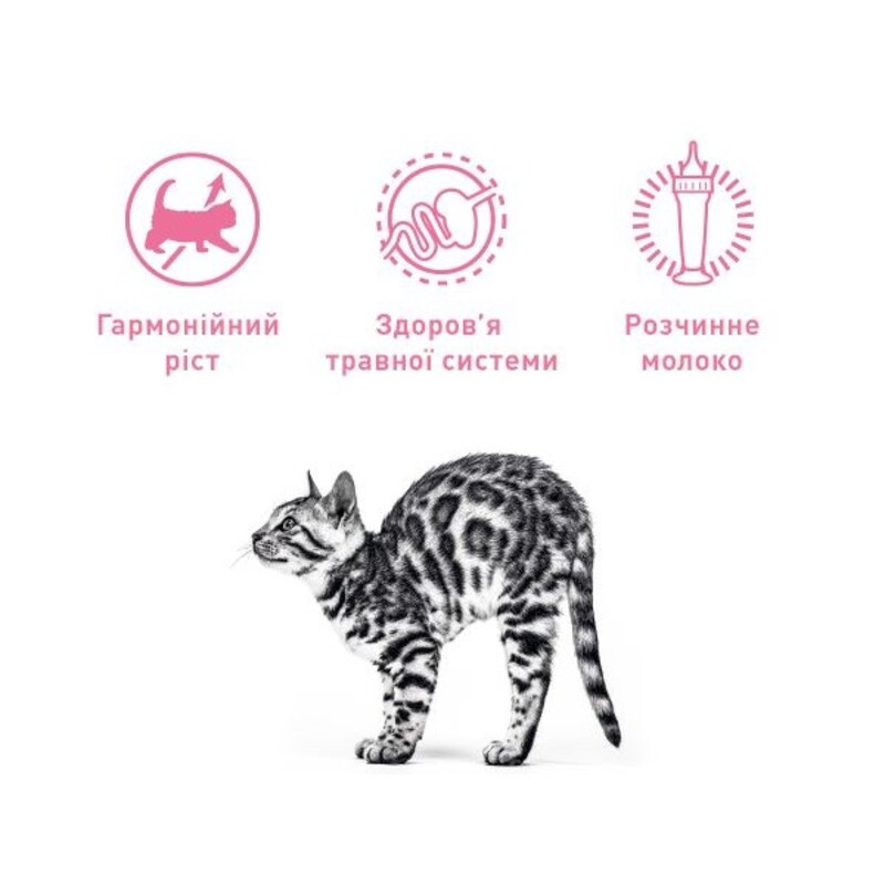 Royal Canin Babycat Milk Замінник котячого молока для кошенят