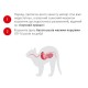 Royal Canin Babycat Milk Замінник котячого молока для кошенят