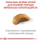 Royal Canin Kitten British Shorthair Сухий корм для кошенят