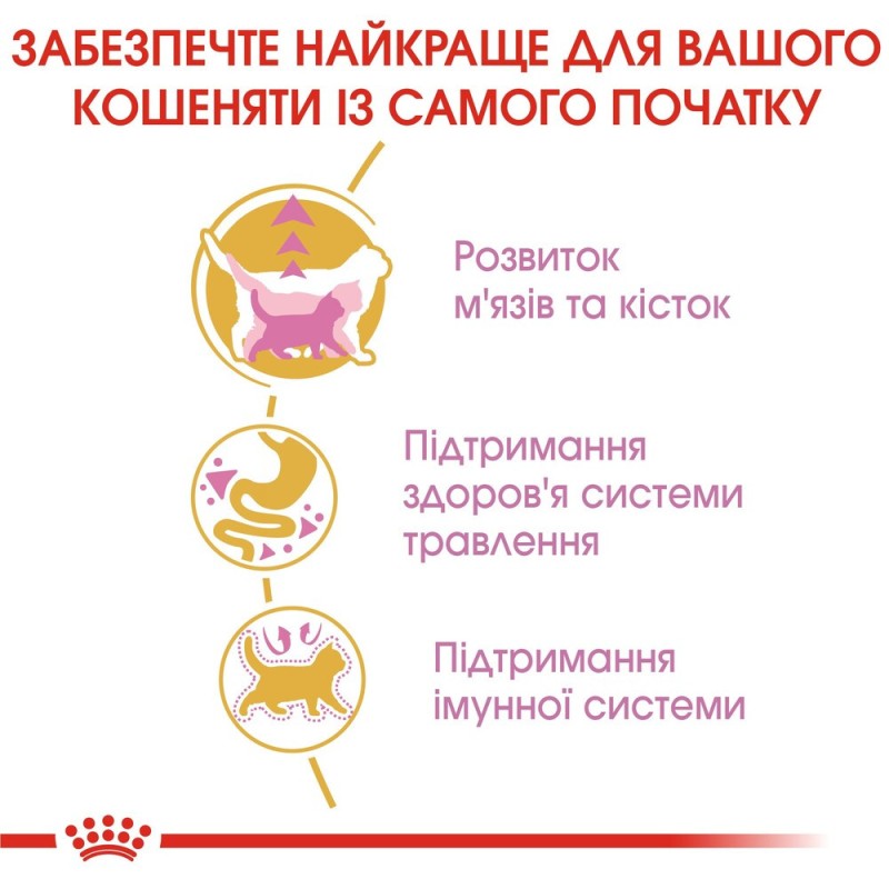Royal Canin Kitten British Shorthair Сухий корм для кошенят