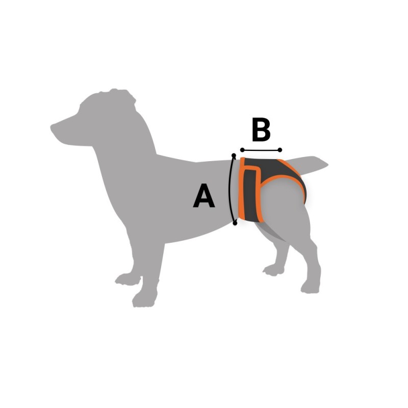 Bronzedog Труси для собак гігієнічні