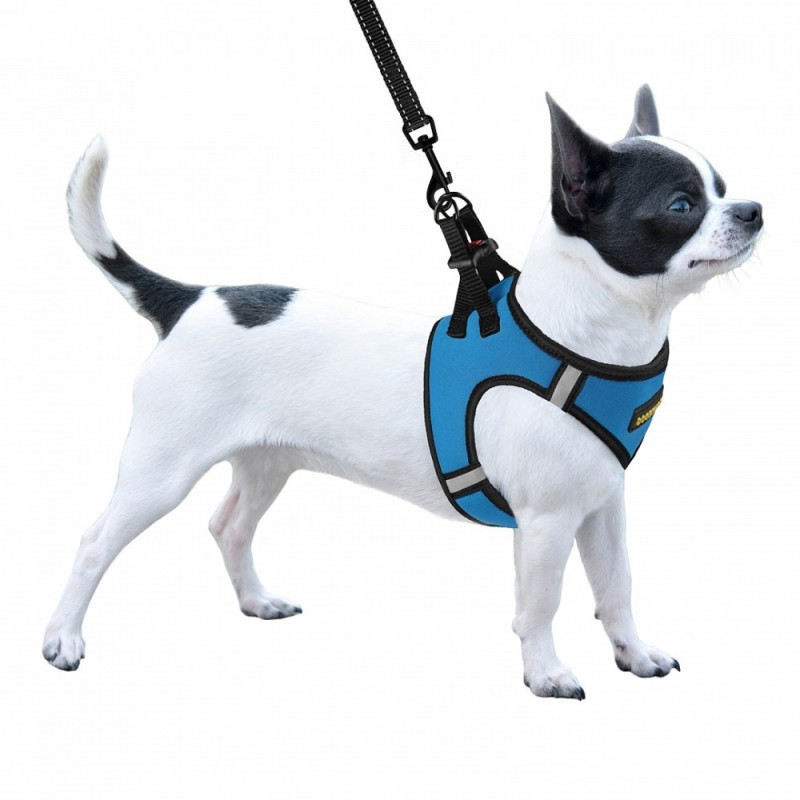 Bronzedog Sport Vest Шлей для собак неопрен 3D сітка блакитний