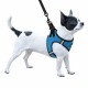 Bronzedog Sport Vest Шлей для собак неопрен 3D сітка блакитний