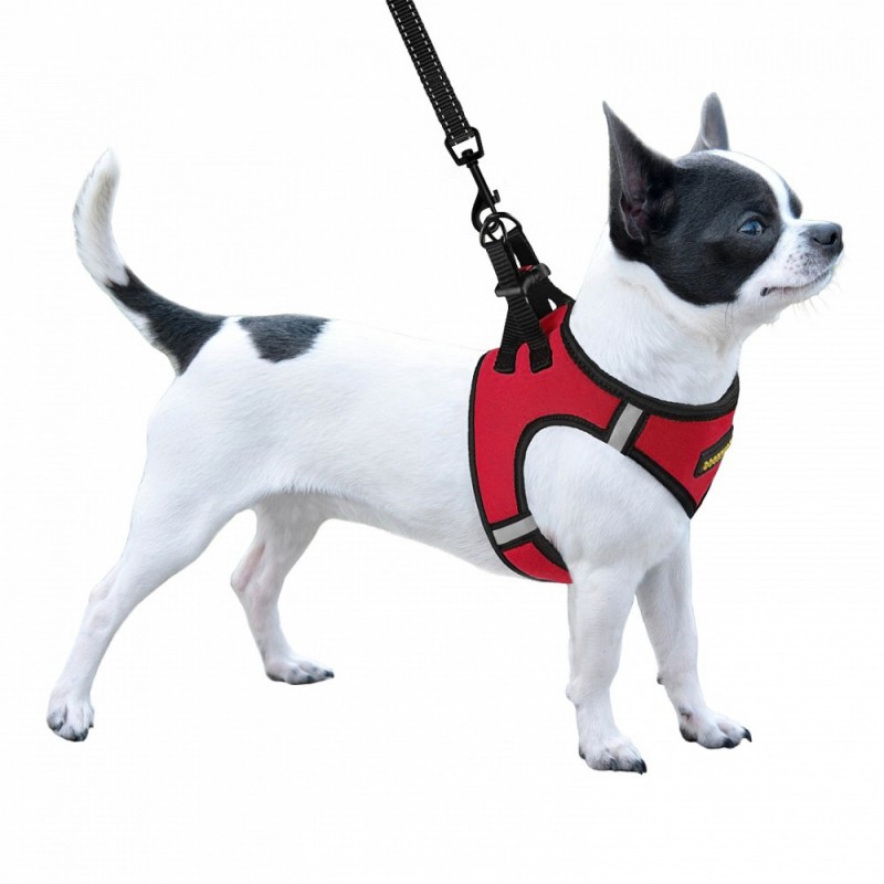 Bronzedog Sport Vest Шлей для собак неопрен 3D сітка червоний