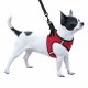 Bronzedog Sport Vest Шлей для собак неопрен 3D сітка червоний