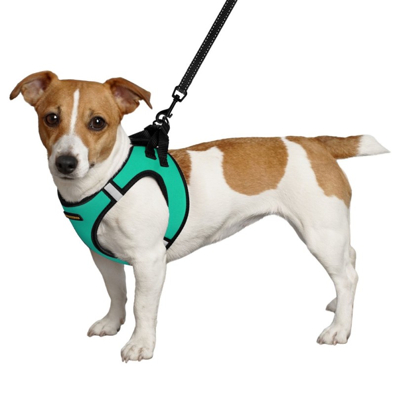 Bronzedog Sport Vest Шлей для собак неопрен 3D сітка ментоловий