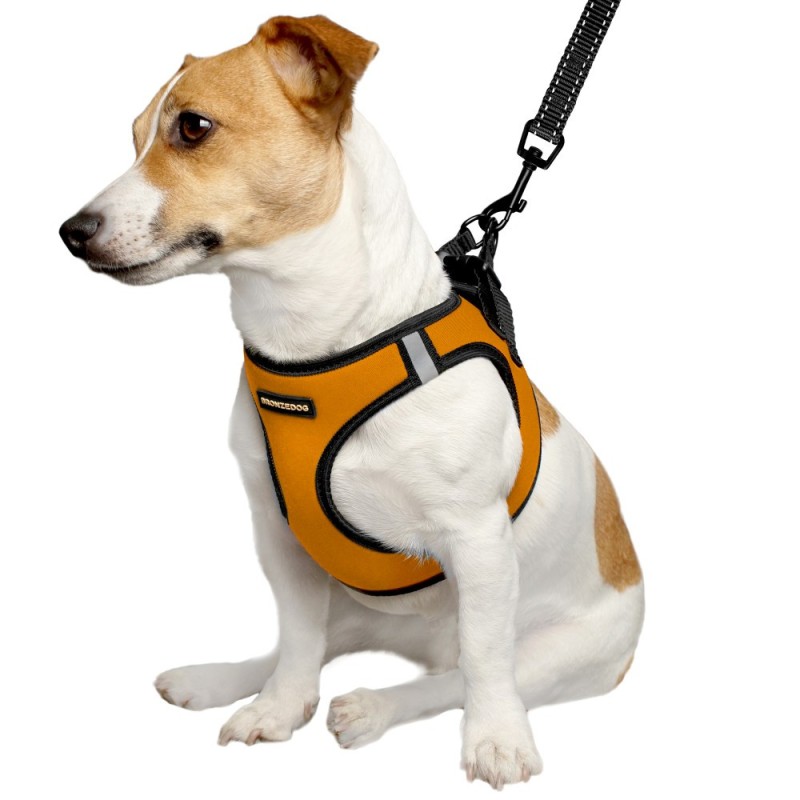 Bronzedog Sport Vest Шлей для собак неопрен 3D сітка помаранчевий