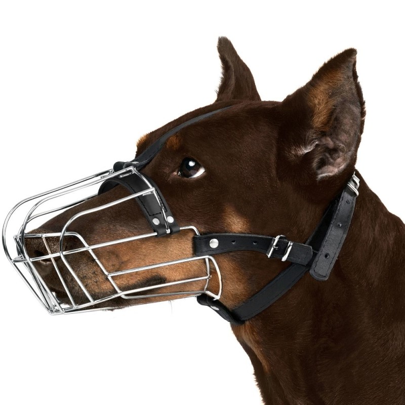 Bronzedog Намордник металевий коллі, доберман