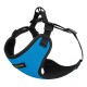 Bronzedog Sport Шлей для собак дрібних порід Неопрен 3D блакитна