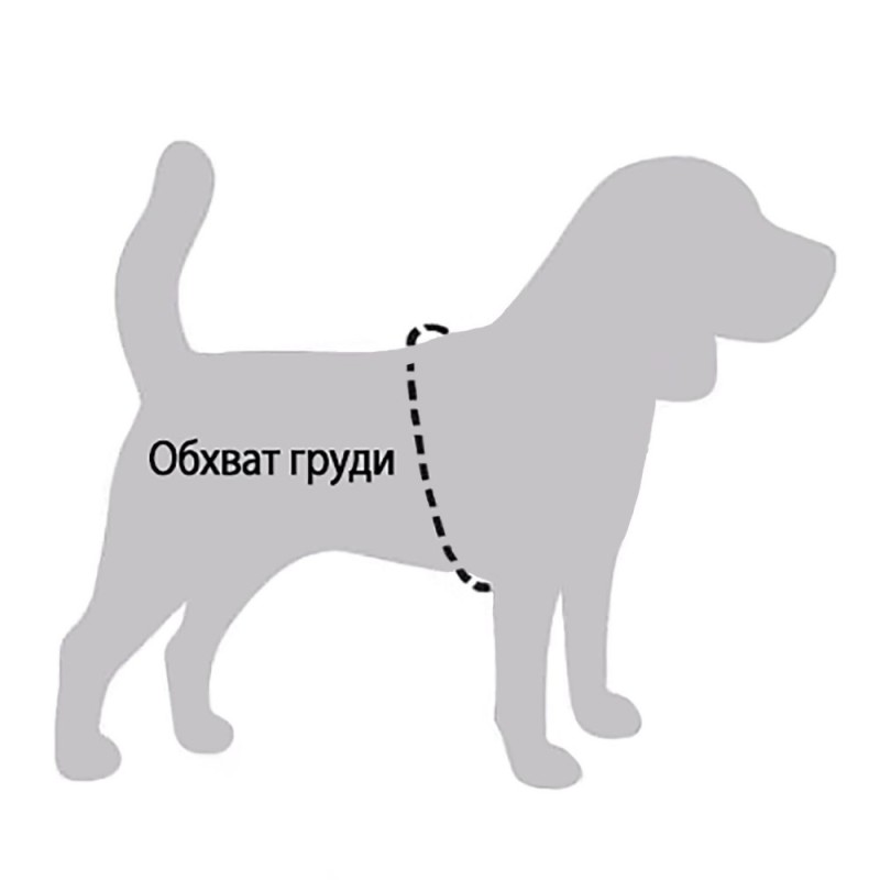 Bronzedog Sport Шлей для собак дрібних порід Неопрен 3D блакитна